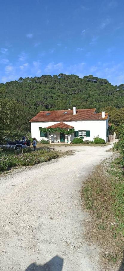 Al- Quinta Dos Carvalhais Rio Maior Ngoại thất bức ảnh